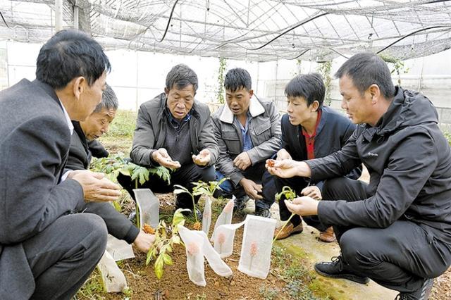 澳门十大正规网投平台