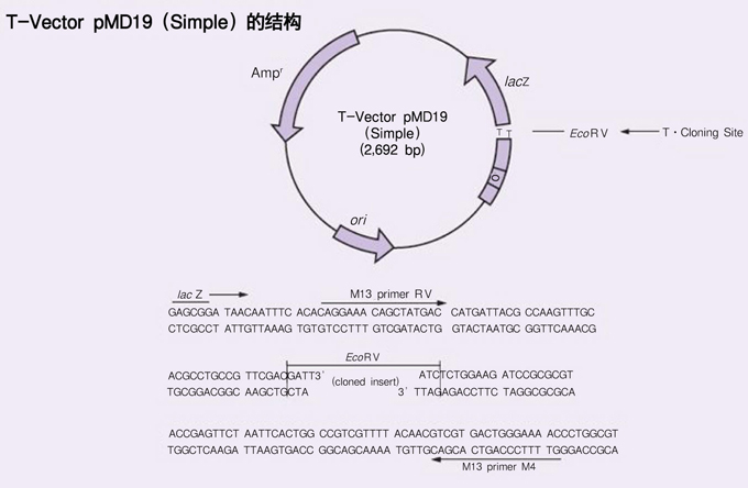 澳门十大正规网投平台