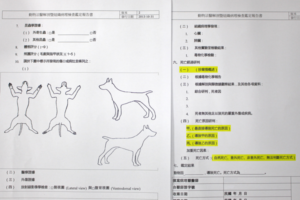 成语小秀才第283关答案攻略 关卡答案攻略详解【澳门十大正规网投平台】